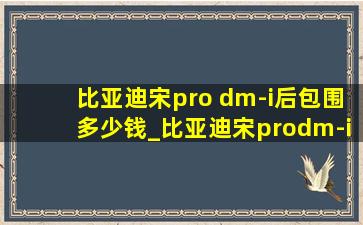 比亚迪宋pro dm-i后包围多少钱_比亚迪宋prodm-i包围套件